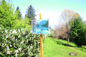nws_alla_rsa_bellagio_un_percorso_benessere_promuovere_salute_1044_1