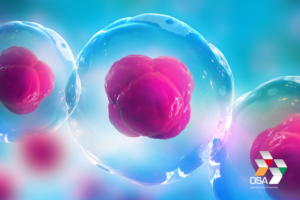 nws_creare_delle_nanomolecole_attaccare_le_cause_dell_rsquo_alzheimer_1747_1