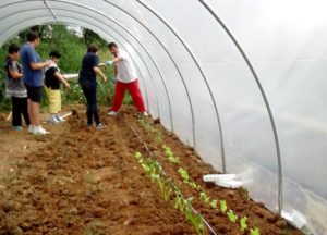 nws_disabili_frosinone_arriva_l_ortoterapia_74_1