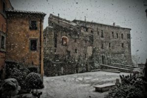 nws_emergenza_neve_cosi_osa_ha_garantito_servizio_adi_agli_assistiti_1398_1