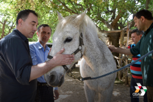 nws_i_progetti_della_crap_osa_san_cristofaro_della_settimana_1357_1