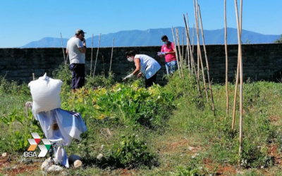 I ragazzi del Centro Diurno Luca Malancona alla scoperta dell’orto