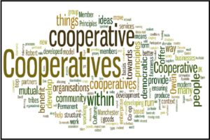 nws_nel_2015_sono_nate_20_nuove_cooperative_giorno_626_1