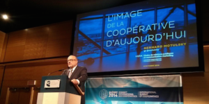 nws_nonostante_crisi_le_cooperative_continuano_crescere_264_1