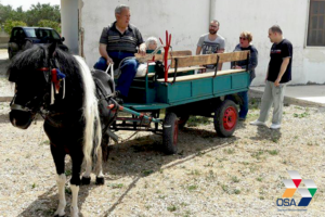 nws_primo_maggio_all_aria_aperta_gli_ospiti_della_residenza_mesagne_1459_1