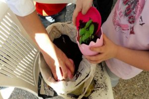 nws_rssa_mesagne_laboratori_giardinaggio_insieme_ai_bambini_1088_1