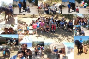 nws_rssa_mesagne_mattinata_centro_ippico_squinzano_792_1