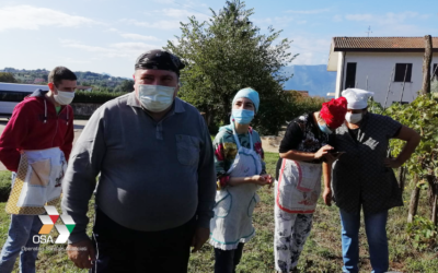 Vendemmia all’insegna dell’inclusione