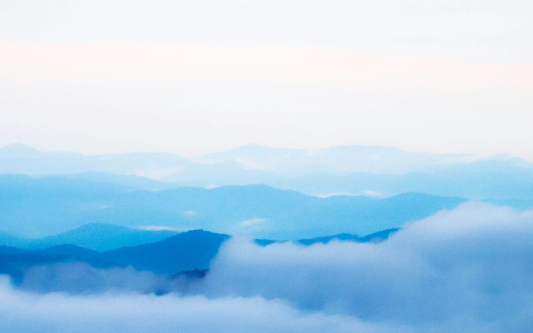 Articolo di prova per sezione News ed eventi di careswell